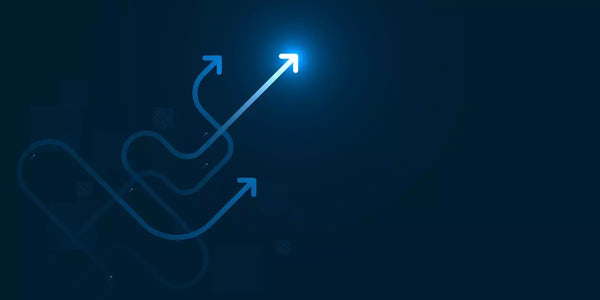 Executive Leadership for Cybersecurity Governance