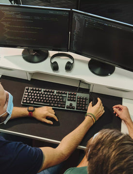 Endpoint Security Professional