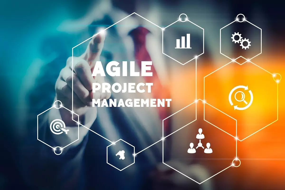 Agile Product Management: A Concise Introduction.