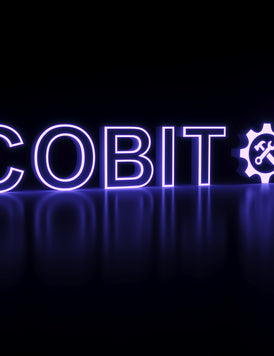 COBIT® 2019 Foundation Training + Exam Prep (Volume 2)