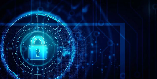 Web Hacking for Beginners.