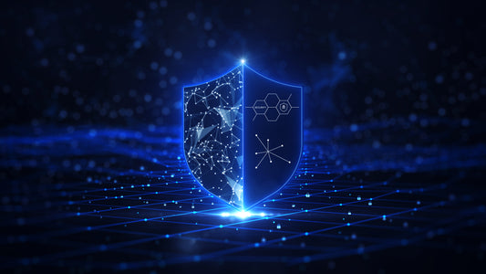 ASP.NET Core Security