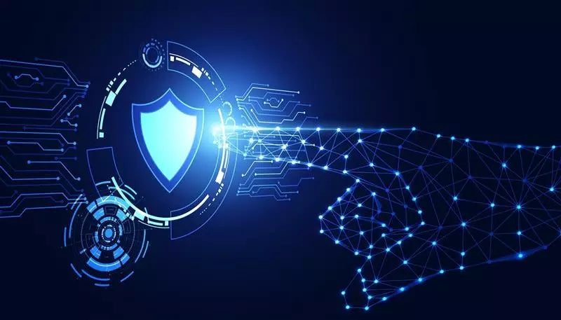 OWASP API Top 10 crAPI.