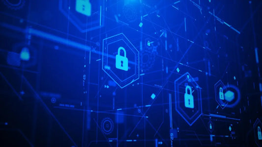 OWASP Top 10 for LLM Applications.