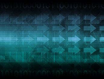 Reverse Engineering 4: Software Protection.