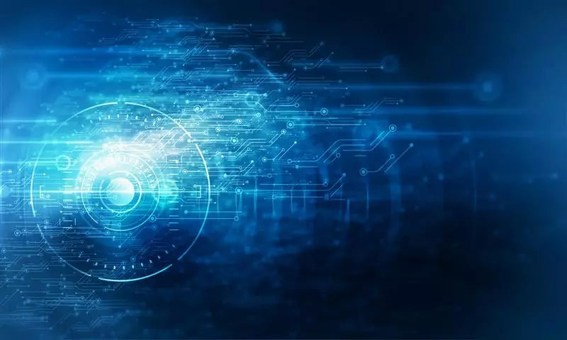 Cryptography and Embedded Systems Security