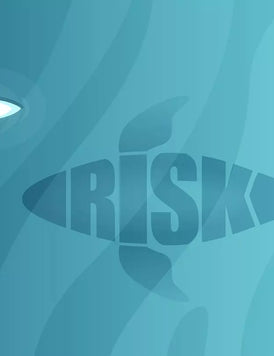 Information Security Risk Management (ISO 27005)