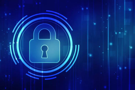 Web Application & SQL Injection Testing.