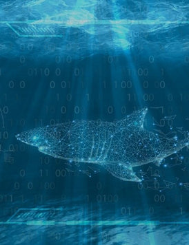 Practical Wireshark 3